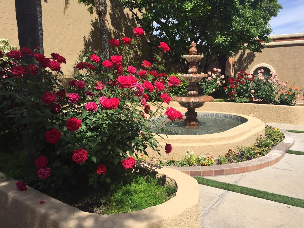 Hotel Ramada Tucson East Zewnętrze zdjęcie
